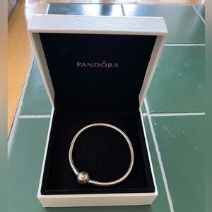 Pandora bracelet